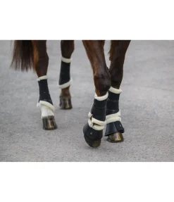 SHOWMASTER Guêtres de dressage avec polaire Teddy Classic (pour antérieurs) noir New