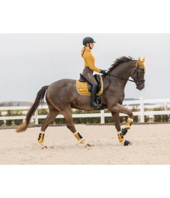 Felix Bühler Guêtres de dressage en polaire Teddy Essential (postérieurs) mangue dorée Best