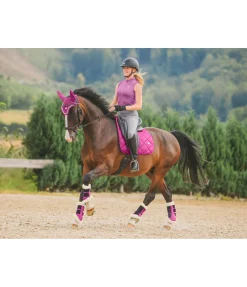 Felix Bühler Guêtres de dressage en polaire Teddy Essential (postérieurs) rose-fuchsia Hot