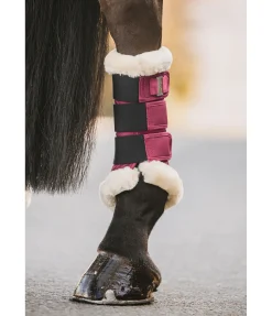 Felix Bühler Guêtres de dressage en polaire Teddy Essential (postérieurs) wild berry Best
