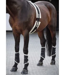 SHOWMASTER Guêtres de dressage postérieures en polaire Teddy noir Hot