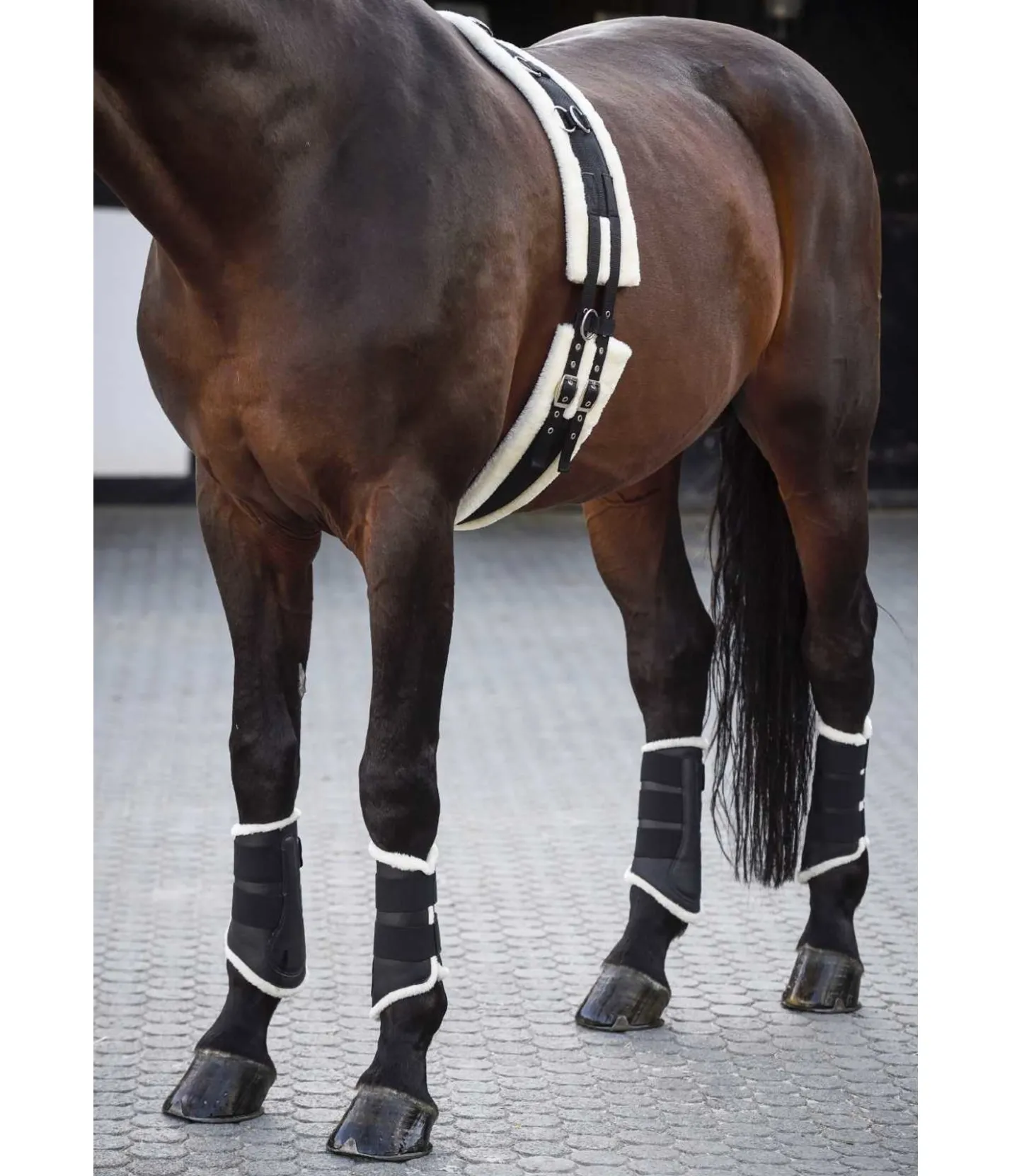 SHOWMASTER Guêtres de dressage postérieures en polaire Teddy noir Hot