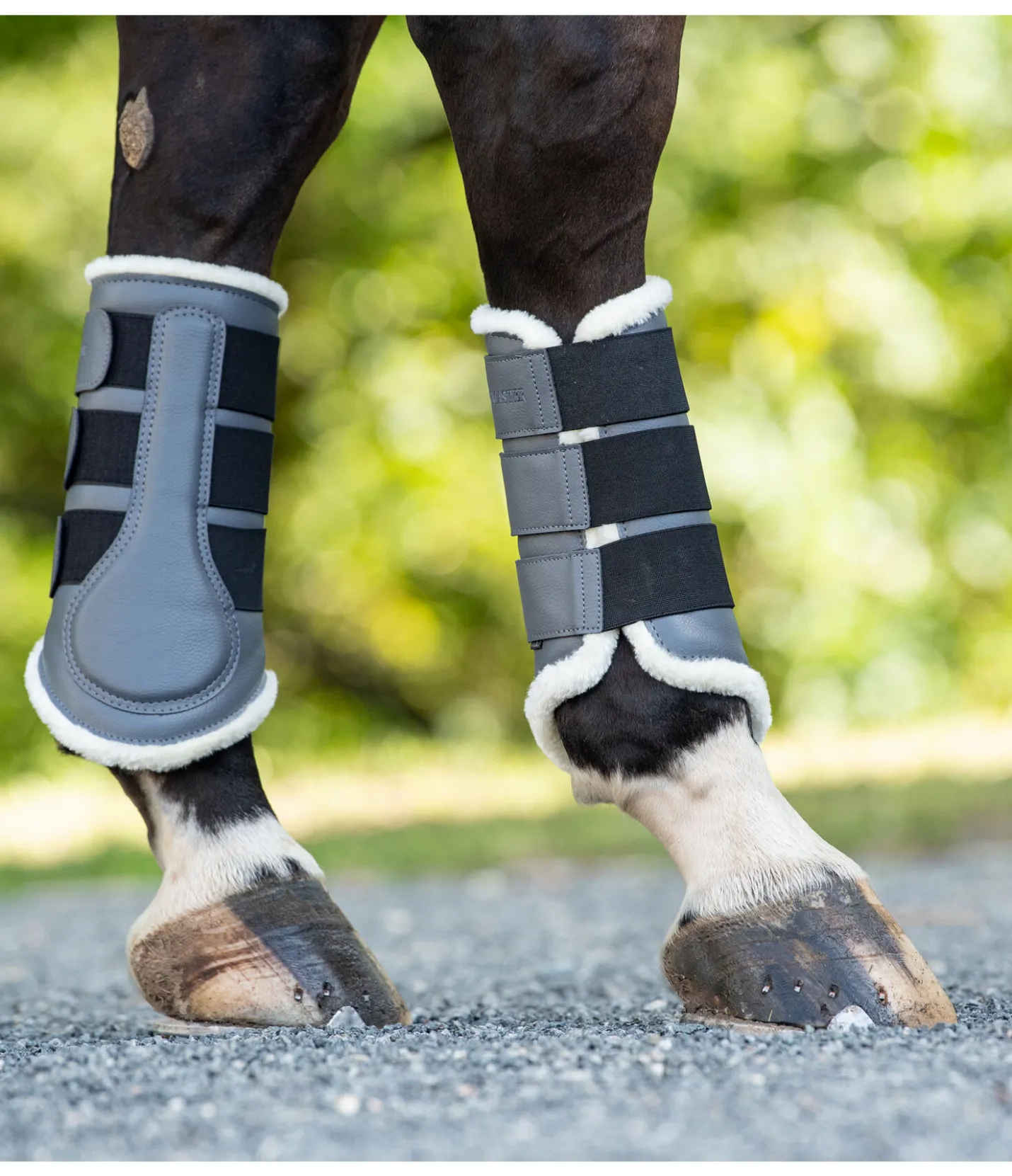 SHOWMASTER Guêtres de dressage postérieures en polaire Teddy graphite Best