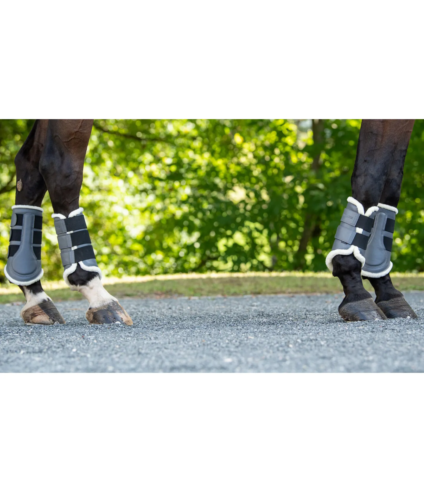 SHOWMASTER Guêtres de dressage postérieures en polaire Teddy graphite Best