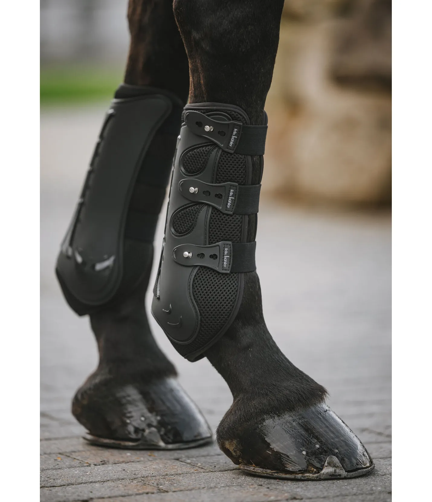 Felix Bühler Guêtres pour les antérieurs Sport Air noir Sale