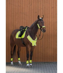 STEEDS Guêtres réfléchissantes jaune Clearance