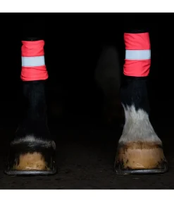 STEEDS Guêtres réfléchissantes pink Hot
