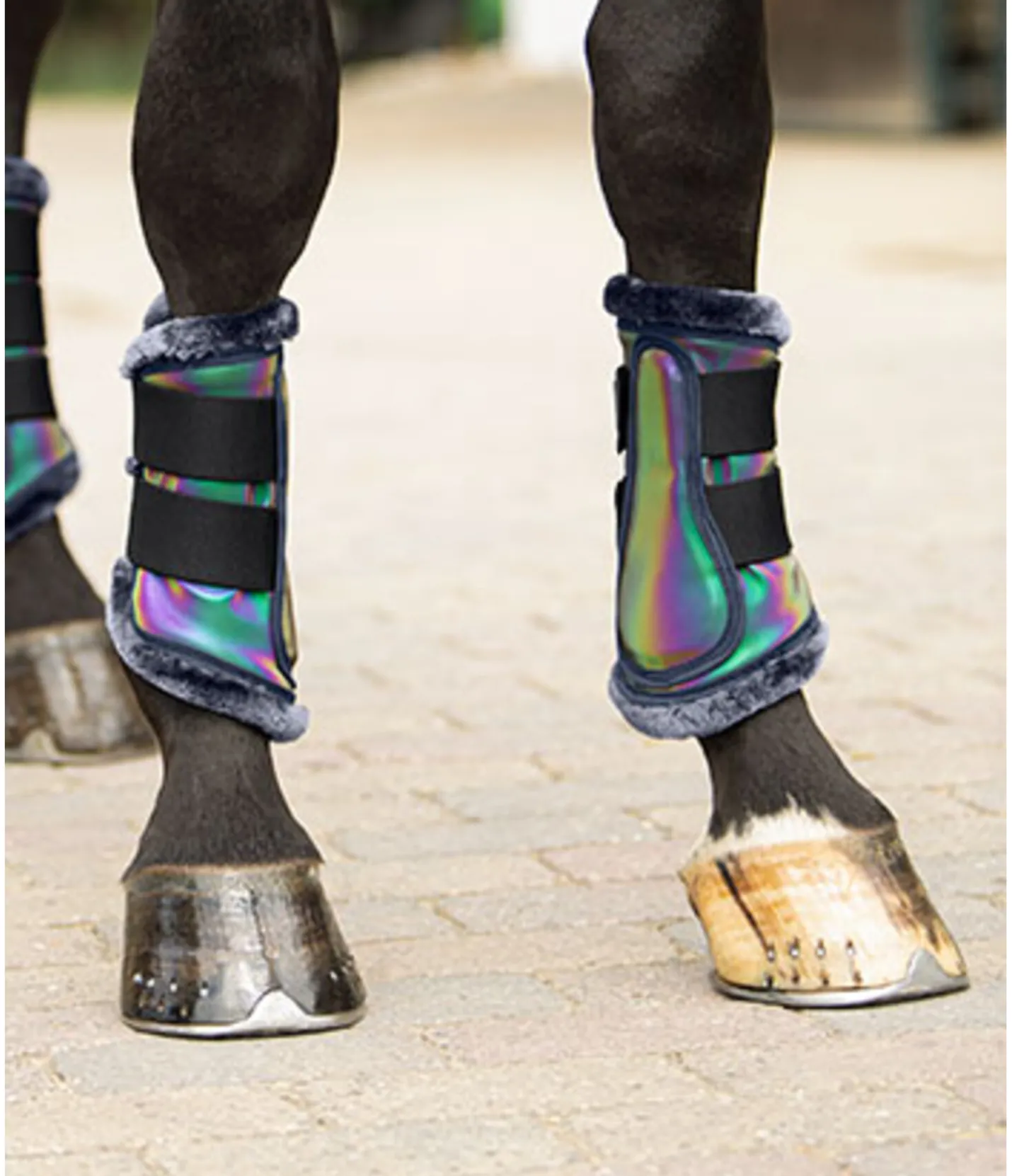 STEEDS Guêtres réfléchissantes Holographic, antérieurs rainbow Best