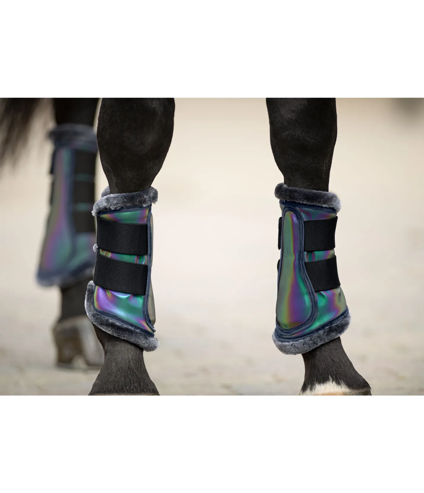 STEEDS Guêtres réfléchissantes Holographic, antérieurs rainbow Best