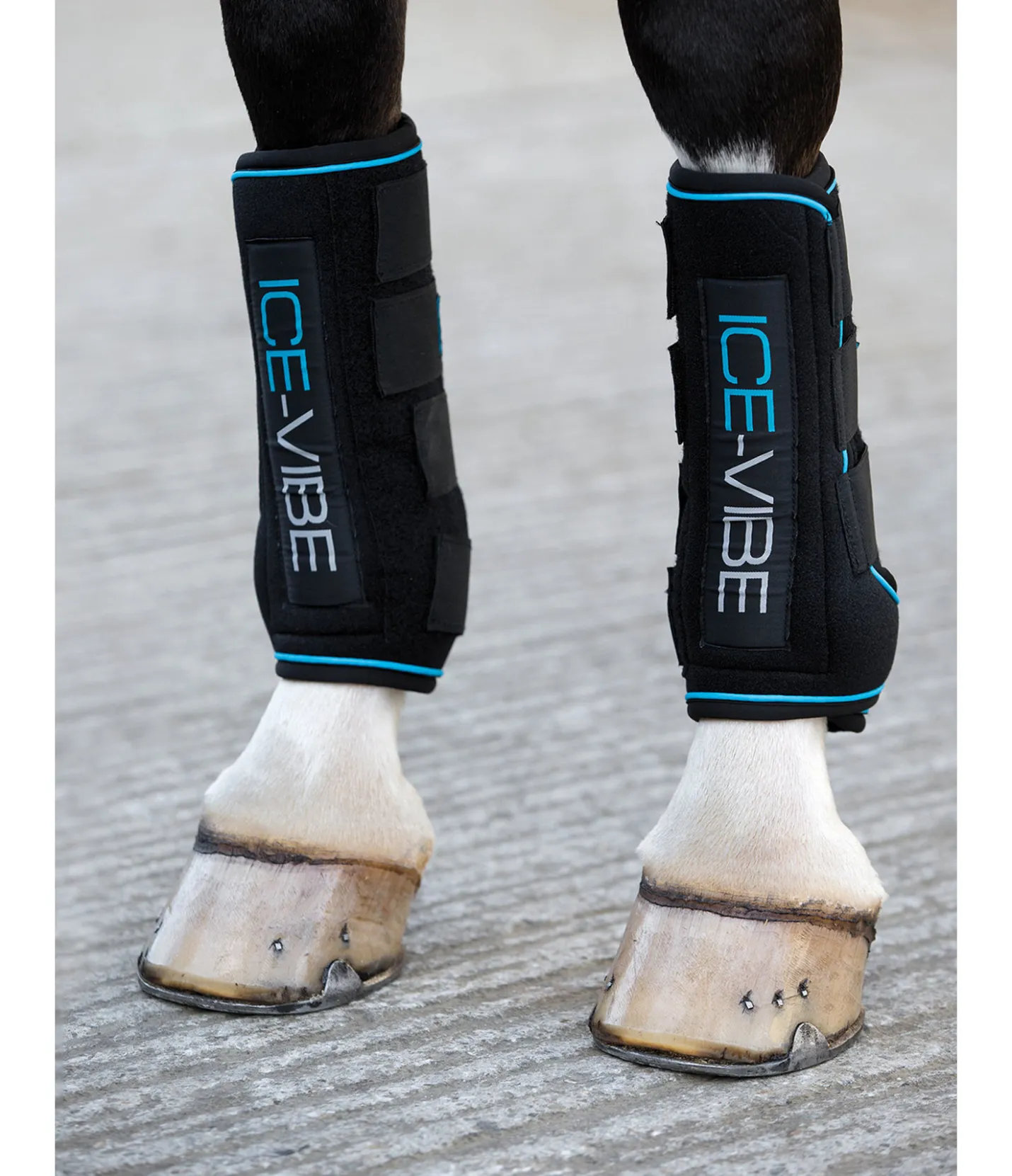 Ice-Vibe by HORSEWARE Guêtres thérapeutiques noir Discount