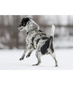sugar dog Harnais de sécurité pour chien Irmi olive Online