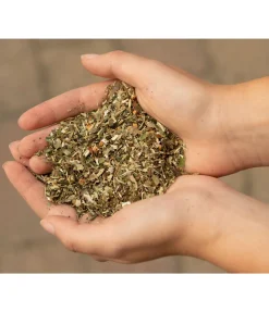 Original Landmühle Herbes détox Clearance