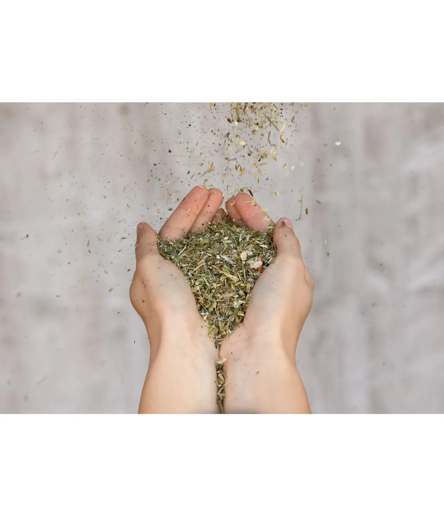 Original Landmühle Herbes pour bronches