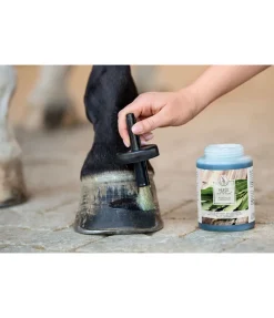SHOWMASTER Huile pour sabots avec pinceau Outlet