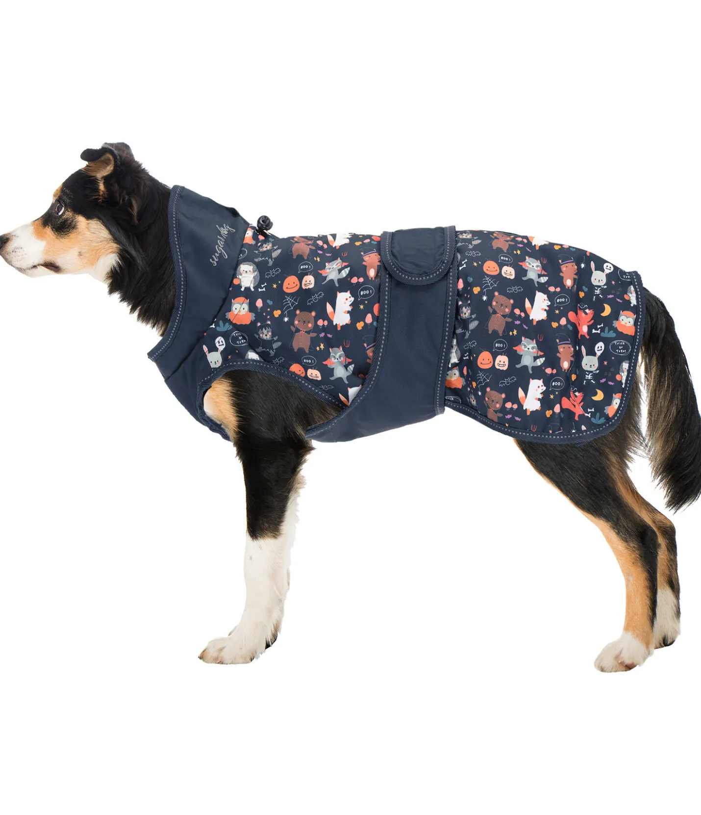 sugar dog Imperméable pour chien Pumpkin Spice, 0 g navy Best