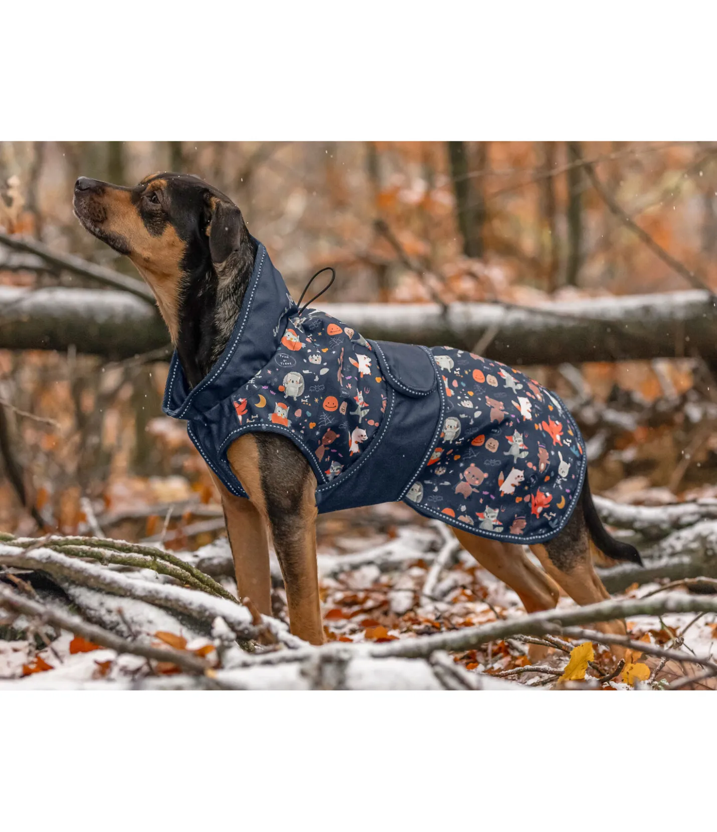 sugar dog Imperméable pour chien Pumpkin Spice, 0 g navy Best