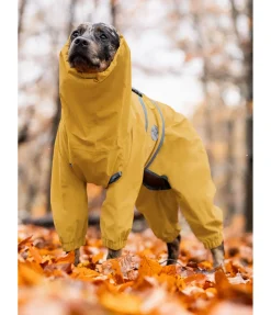 sugar dog Imperméable pour chien Sequoia II, 0 g mangue dorée