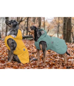 sugar dog Imperméable pour chien Waterton Lakes, 0 g matcha foncé Hot