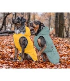 sugar dog Imperméable pour chien Waterton Lakes, 0 g matcha foncé Hot