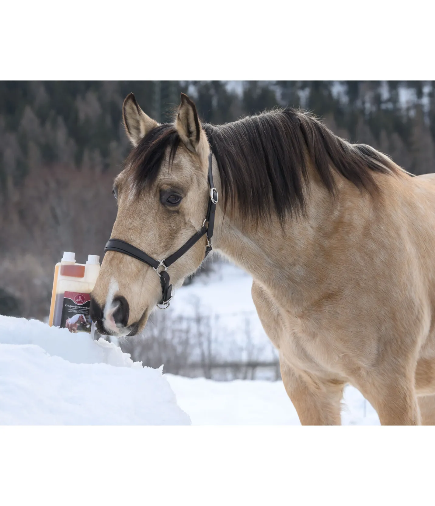 Original Landmühle Jus d´herbes Immune Boost Outlet