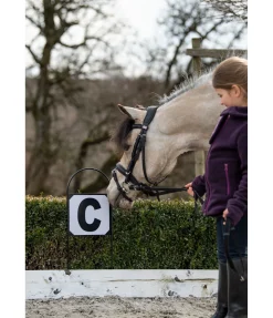 Kramer Lettres de dressage Outlet
