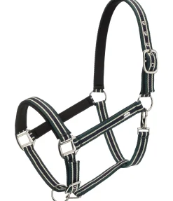 SHOWMASTER Licol Basic vert d´eau Sale