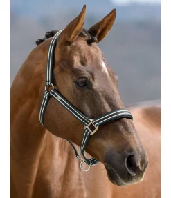 SHOWMASTER Licol Basic vert d´eau Sale