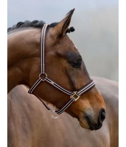 SHOWMASTER Licol Basic acajou New