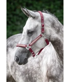SHOWMASTER Licol Blaire baie vintage New