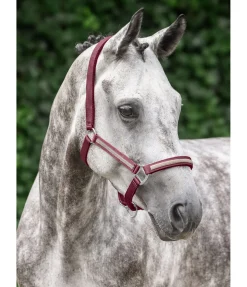 SHOWMASTER Licol Blaire baie vintage New