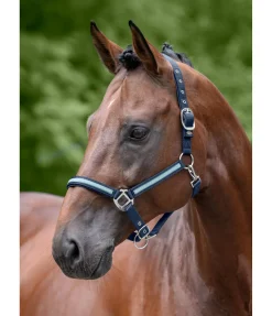 SHOWMASTER Licol Blaire navy