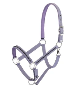 SHOWMASTER Licol Brilliant lilas Hot