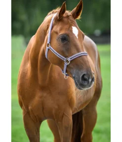 SHOWMASTER Licol Brilliant lilas Hot