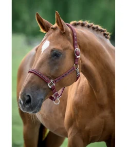 SHOWMASTER Licol Brilliant baie vintage Best