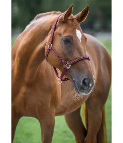 SHOWMASTER Licol Brilliant baie vintage Best