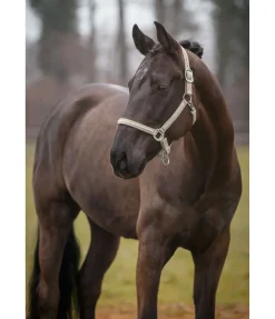 SHOWMASTER Licol Brilliant champagne Online