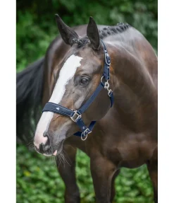 SHOWMASTER Licol Cloud navy Sale