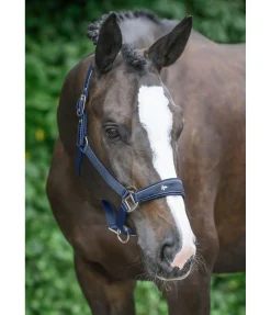 SHOWMASTER Licol Cloud navy Sale