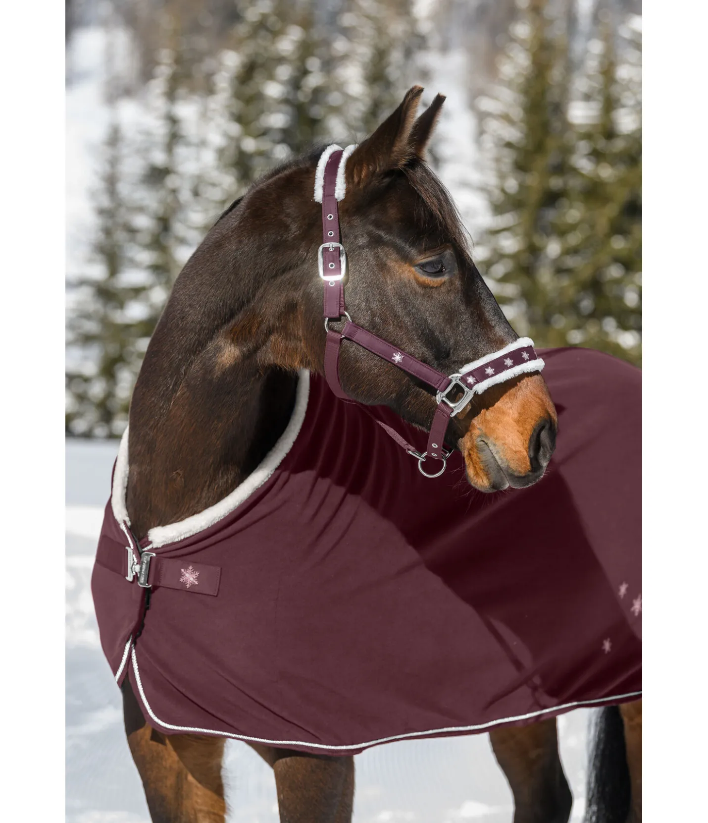 SHOWMASTER Licol Collection de Noël acajou Discount