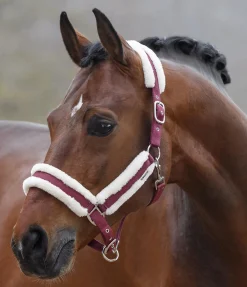 SHOWMASTER Licol Cosy mûron New