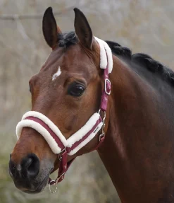 SHOWMASTER Licol Cosy mûron New
