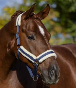 SHOWMASTER Licol Cosy bleu nuit Best