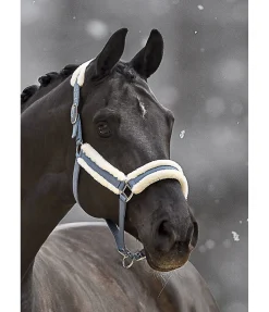 SHOWMASTER Licol Cosy bleu dauphin Discount
