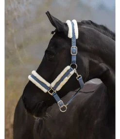 SHOWMASTER Licol Cosy bleu dauphin Discount