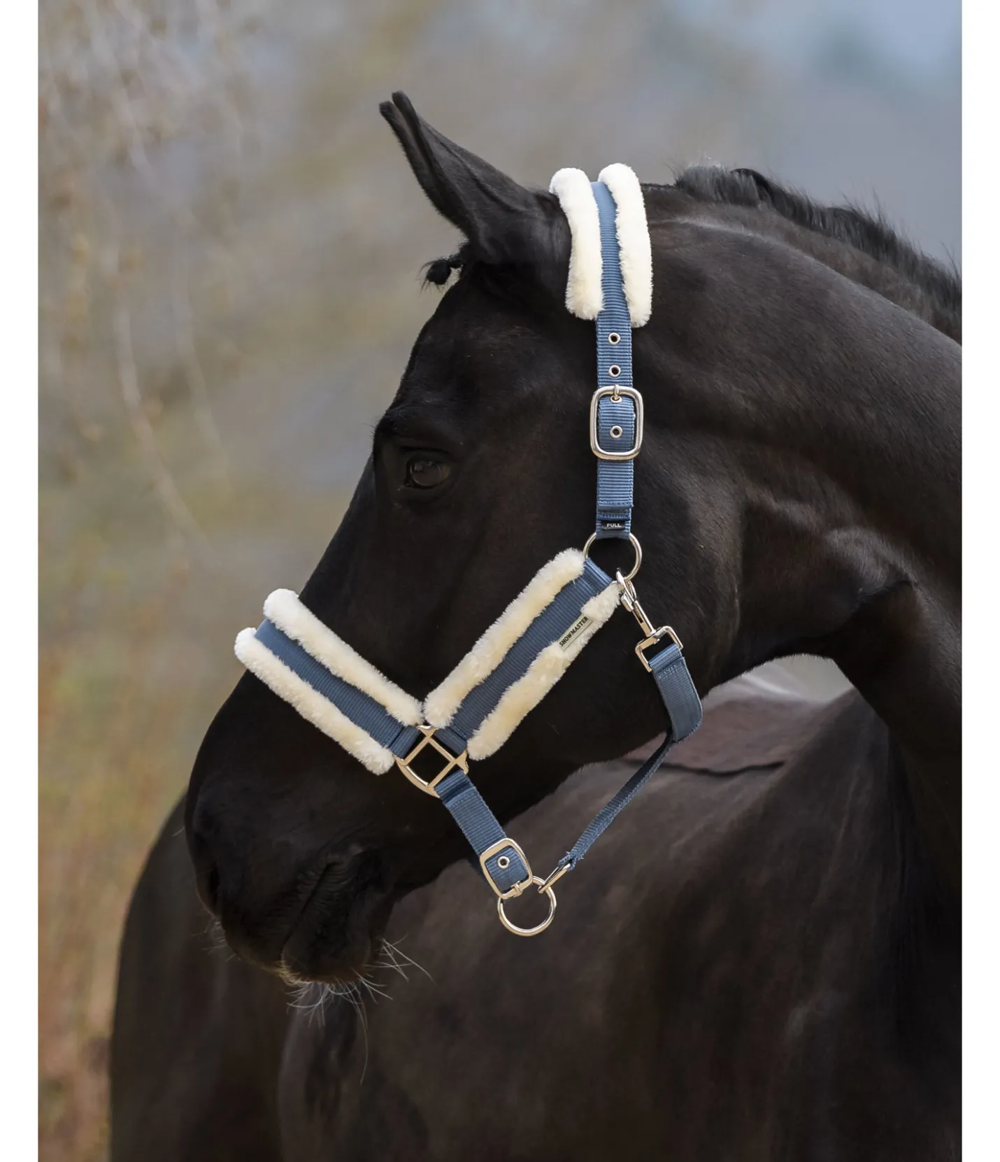 SHOWMASTER Licol Cosy bleu dauphin Discount