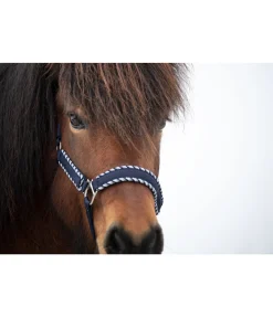 FENGUR Licol Dagur bleu nuit Discount