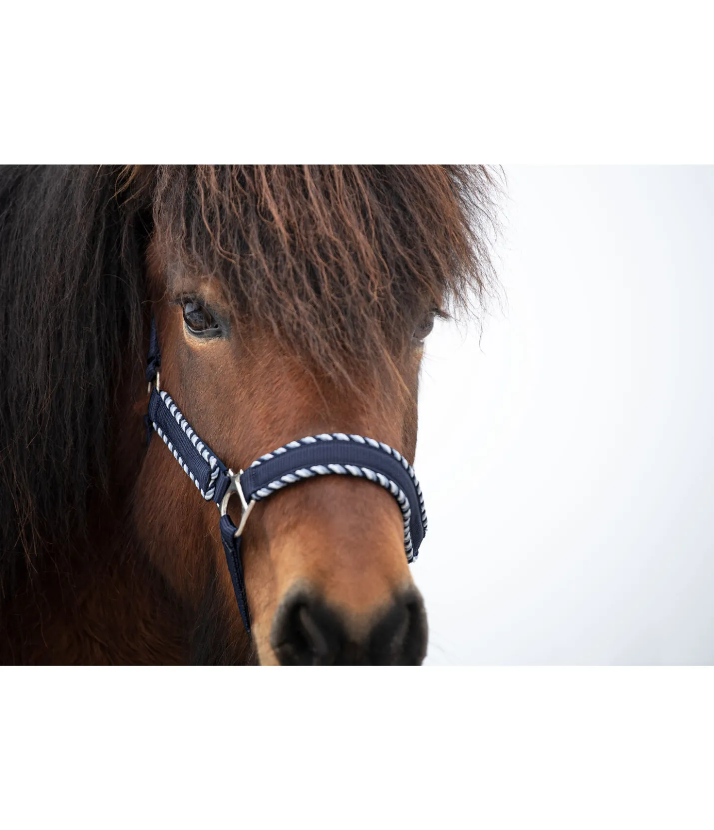 FENGUR Licol Dagur bleu nuit Discount