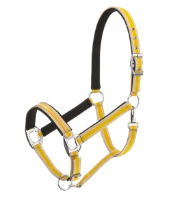 Felix Bühler Licol Essential II mangue dorée Hot