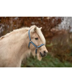 FENGUR Licol Floki bleu nuit Clearance