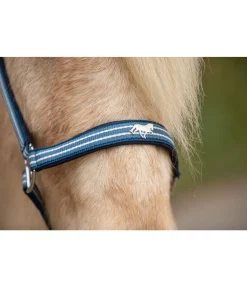 FENGUR Licol Floki bleu nuit Clearance